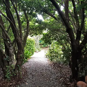 https://camelot-cottages.queenslandhotels.net